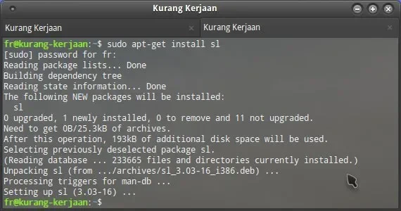 Proses instalasi program sl melalui manajer paket apt-get di terminal Linux