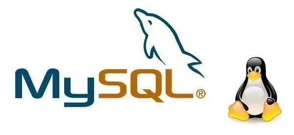 MySQL