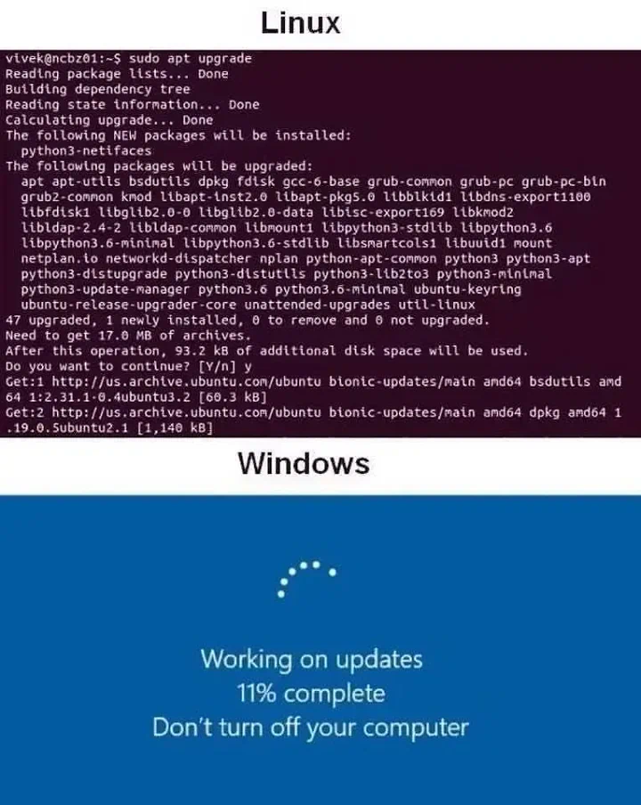 Linux vs Windows: Si Transparan dan Si Misterius dalam Dunia Update