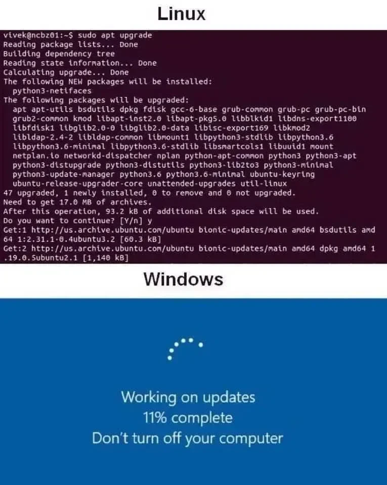 Linux vs Windows: Si Transparan dan Si Misterius dalam Dunia Update
