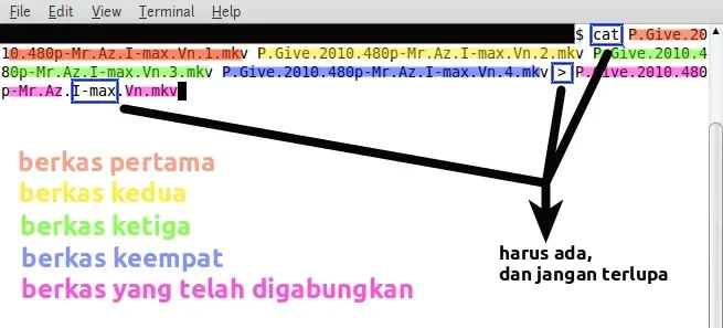 Perintah cat di terminal untuk menyatukan file