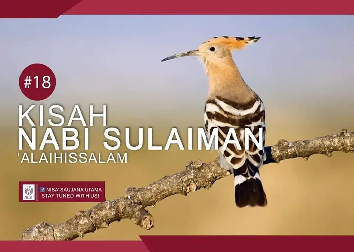 Nabi Sulaiman: Raja Hikmah, Penguasa Jin, Angin, dan Burung
