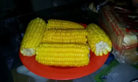 Nikmat Sederhana Saat Gerimis: Jagung Godog yang Menghangatkan