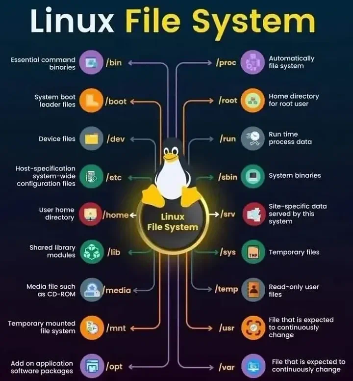 Linux File System: Dijelasin Santai dari Atas Sampai Bawah