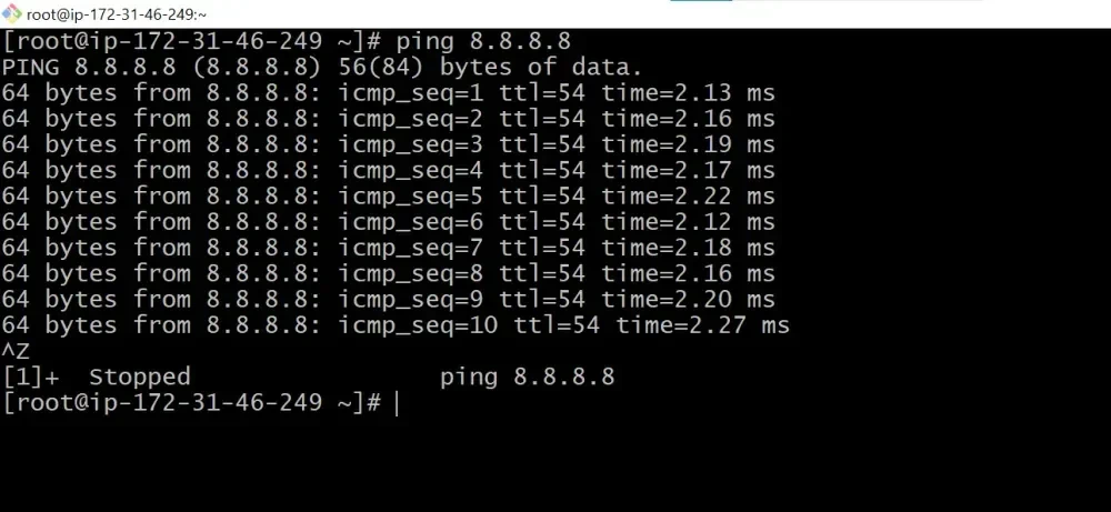 Ctrl+Z menyuspend proses