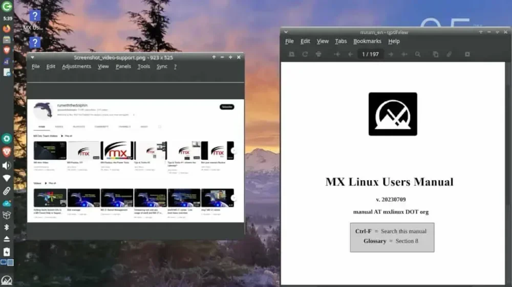 MX Installer