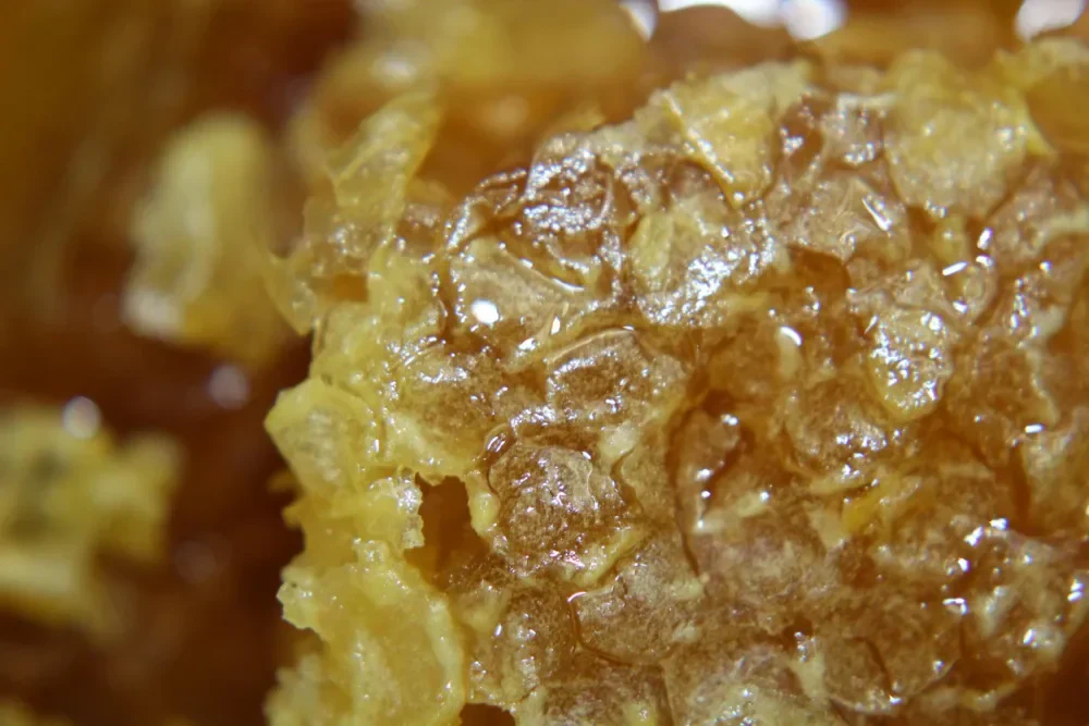 Madu dan lemon