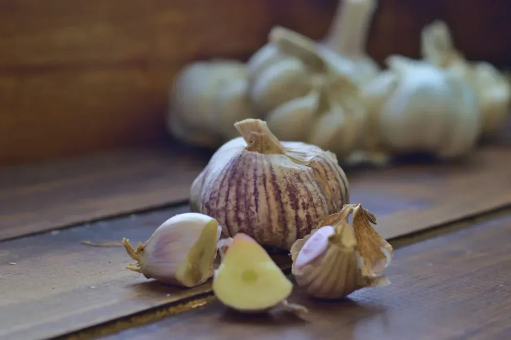 Bawang putih di piring