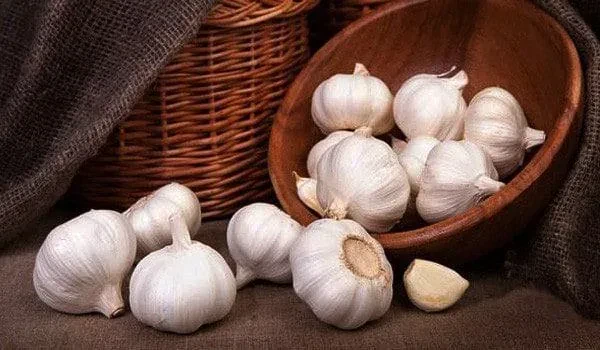 Bawang putih utuh