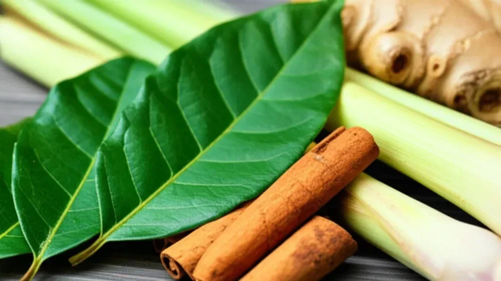 Daun salam kering
