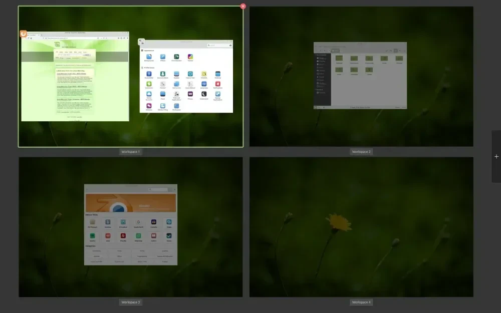 Mint XFCE Display
