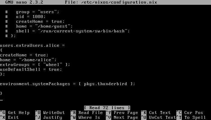 NixOS Terminal