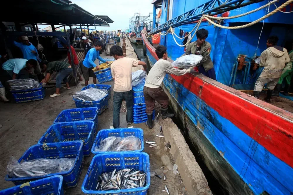 Suasana pelabuhan ikan