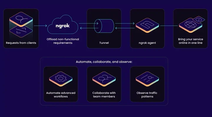 ngrok: Sang Veteran Tunneling Kaya Fitur