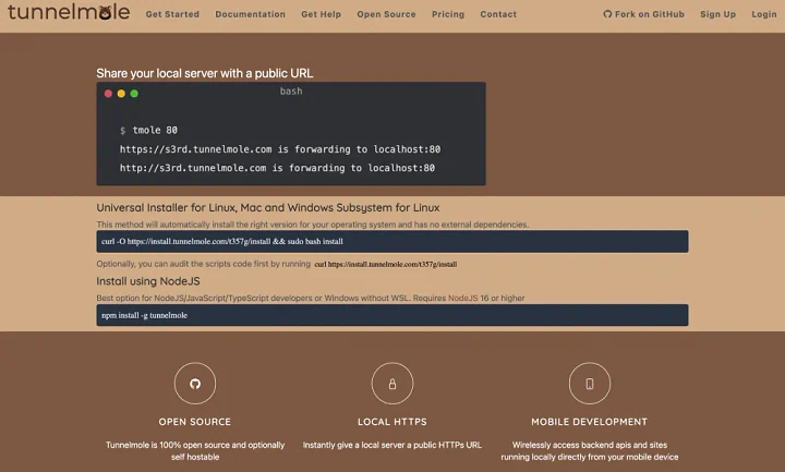 Tunnelmole: Alternatif Cloudflare Tunnel Sederhana dengan HTTPS dapat