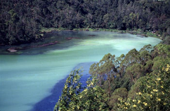 Telaga Warna dengan gradasi warna hijau, merah, dan biru