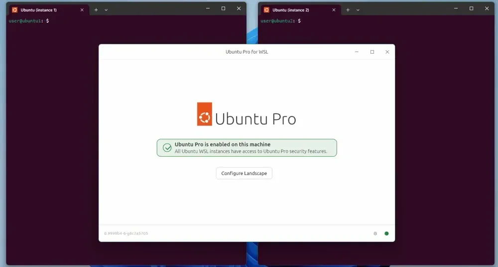 Demo Ubuntu Pro di WSL