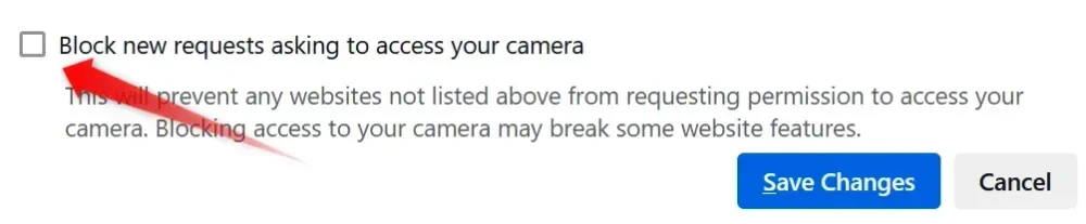 camera mic