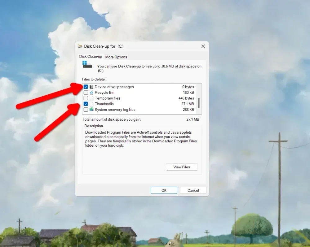Disk Cleanup siap bersih